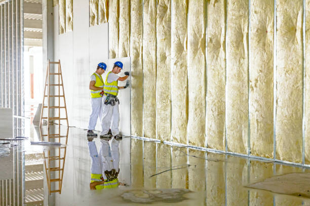 Best Commercial Insulation in Walters, OK